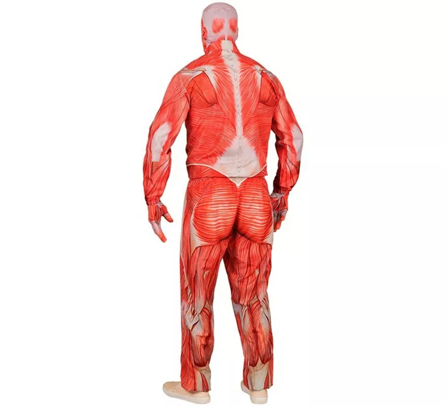 Translation missing: pt-PT.Disfraz Express de Anatómico con Músculos para hombre