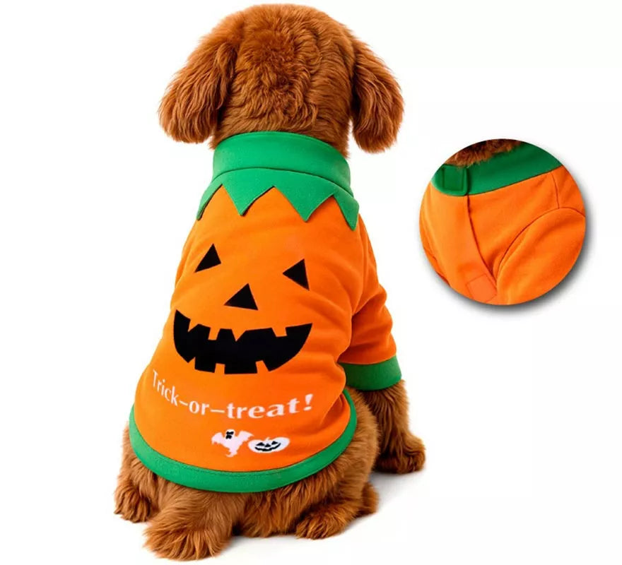 Disfraz Mascota Calabaza