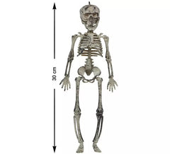 Esqueleto branco de 30cm
