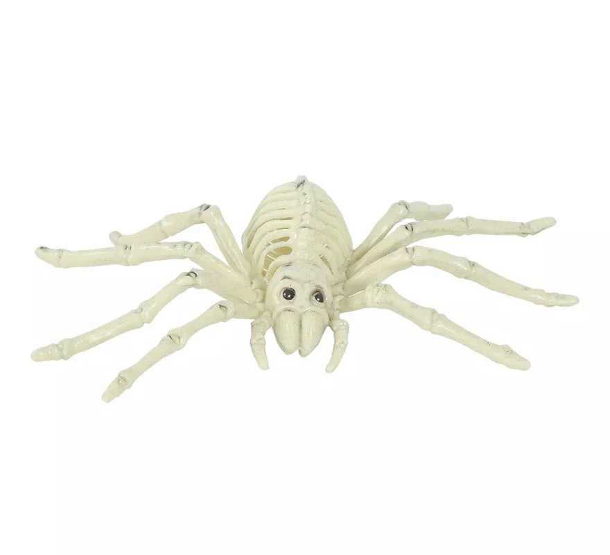 Translation missing: pt-PT.Esqueleto de Araña 24 Cm