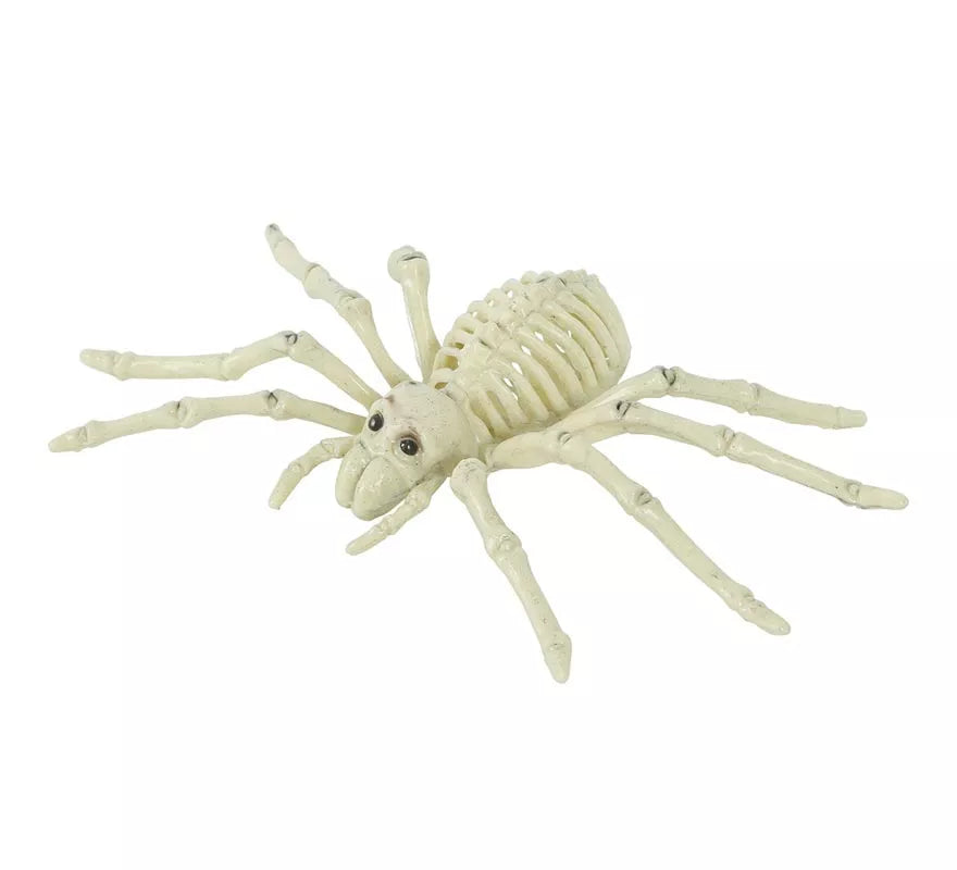 Translation missing: pt-PT.Esqueleto de Araña 24 Cm