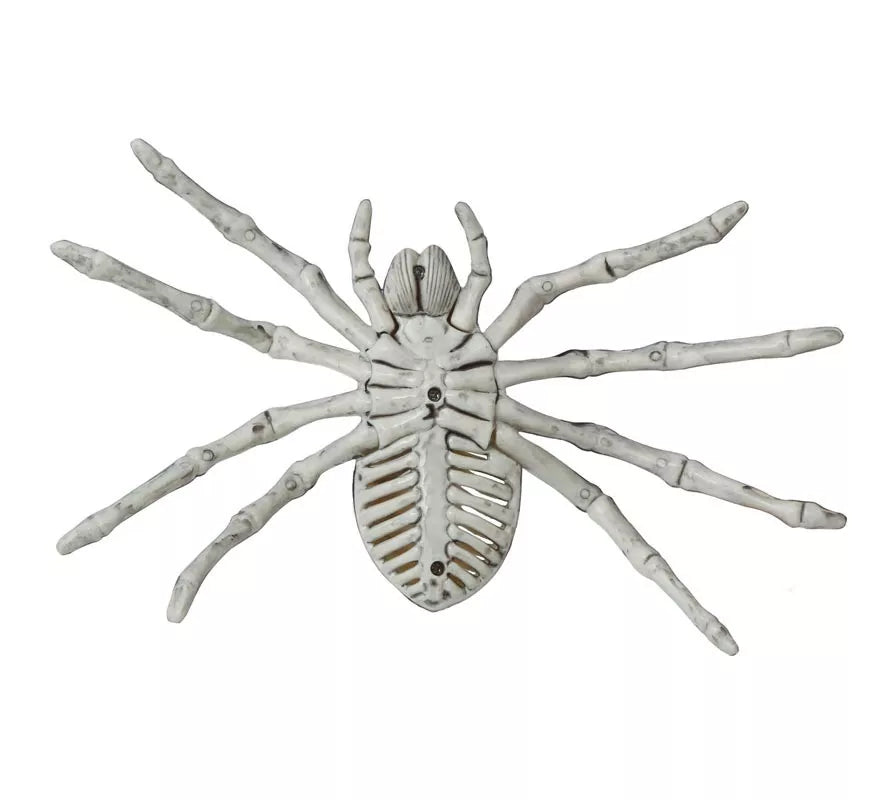 Translation missing: pt-PT.Esqueleto de Araña 24 Cm