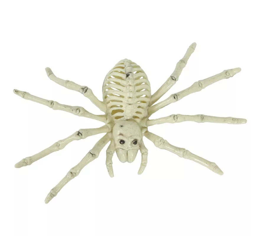 Translation missing: pt-PT.Esqueleto de Araña 24 Cm