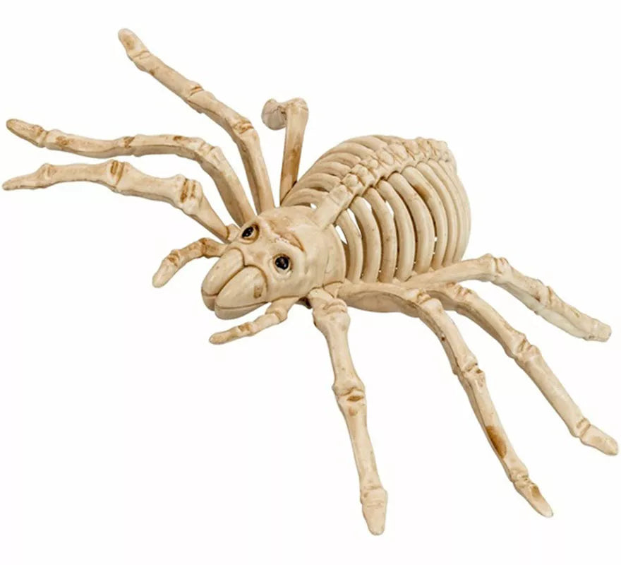 Translation missing: pt-PT.Esqueleto de Araña Aterradora de 24 cm