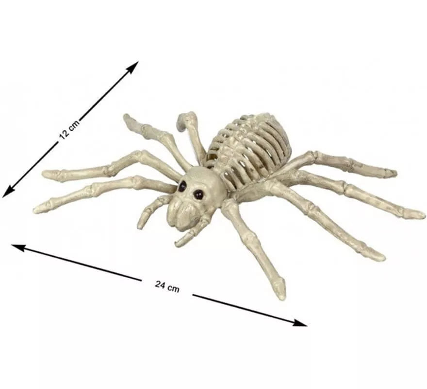 Esqueleto de Araña Tarántula de 24x12 cm