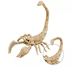 Esqueleto de escorpião de 30 cm