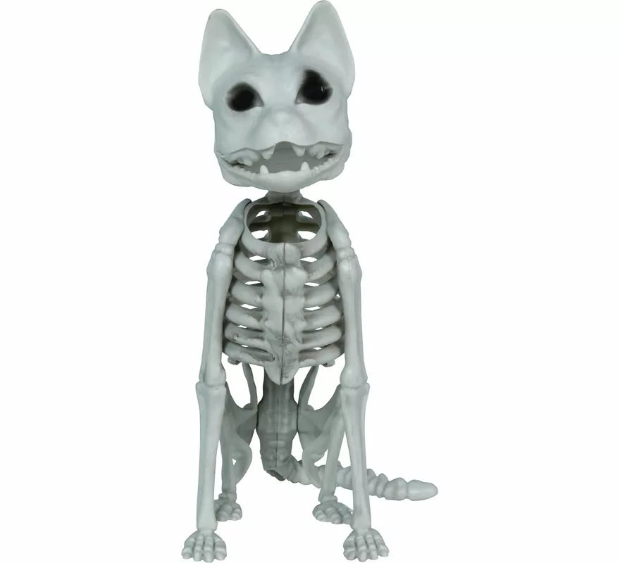 Esqueleto de Gato de 37 cm