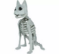 Esqueleto de Gato de 37 cm