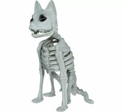 Esqueleto de gato de 37 cm