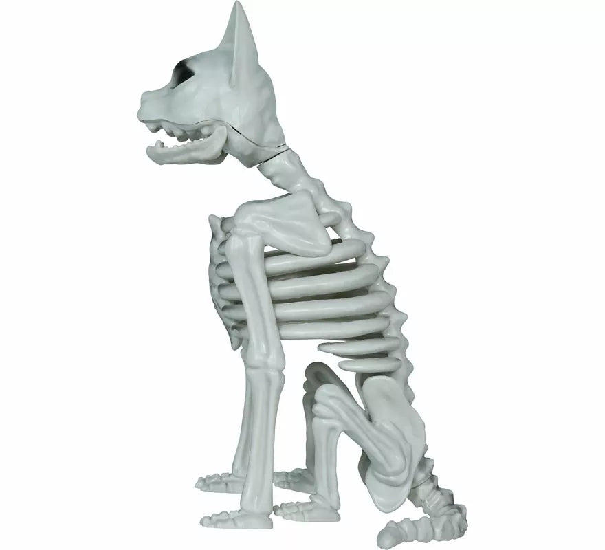 Esqueleto de Gato de 37 cm