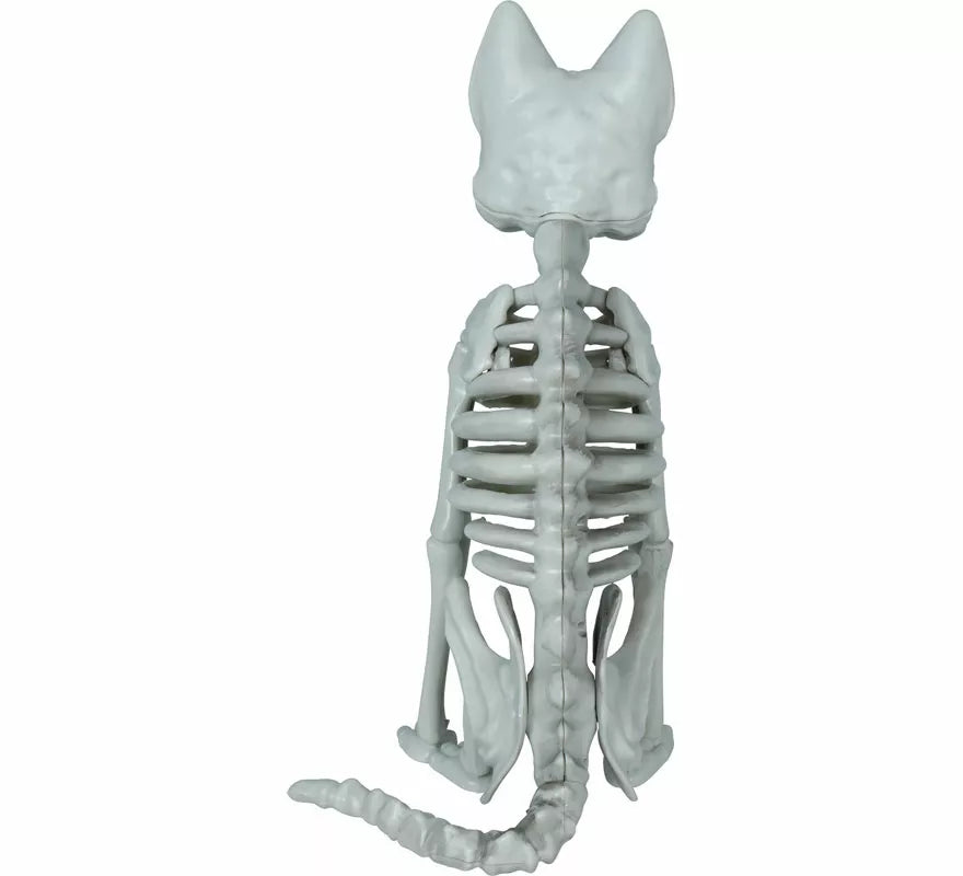 Translation missing: pt-PT.Esqueleto de Gato de 37 cm