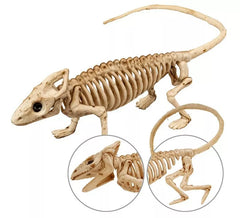 Esqueleto de iguana de 43 cm
