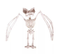 Esqueleto de morcego 27x11x7 cm