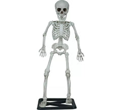 Esqueleto em pé de 55 cm