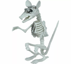 Esqueleto de Rato de 17 cm