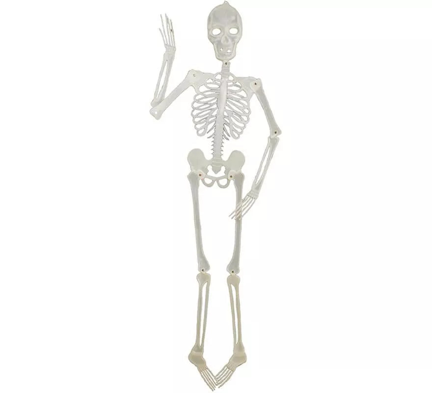 Translation missing: pt-PT.Esqueleto fluorescente 152 cm