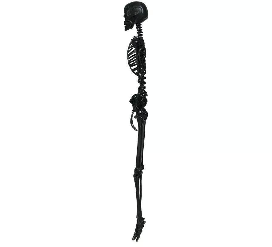 Esqueleto negro 160 cm