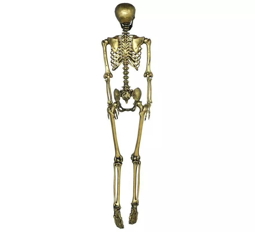 Esqueleto oro 90 cm
