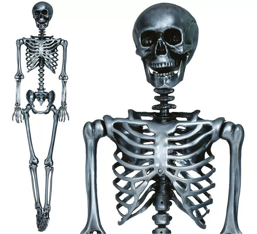 Translation missing: pt-PT.Esqueleto plata 160 cm