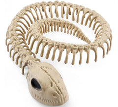 Esqueleto de cobra 16x3,5 cm