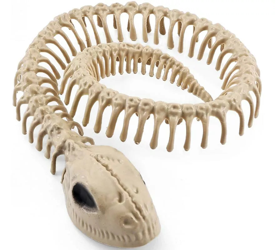 Translation missing: pt-PT.Esqueleto Serpiente de 16x3.5 cm