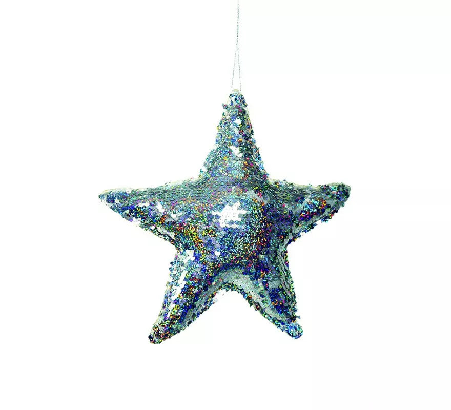 Translation missing: pt-PT.Estrella Lentejuelas Plata 20 cm