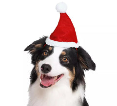 Chapéu de natal para cachorro
