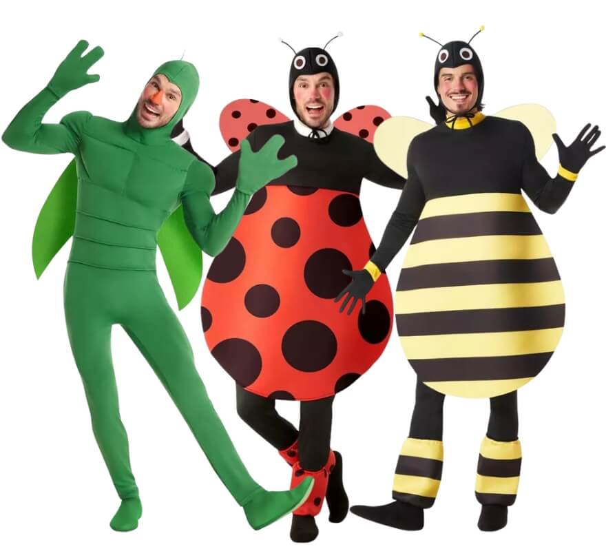 Grupo de insetos do jardim