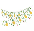 Guirnalda de Hawái de 2,4M 16x20 cm