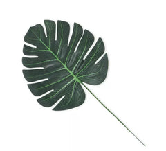 Decoração de folhas tropicais verdes