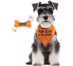 Kit Abóbora para Cachorro: Bandana e Osso
