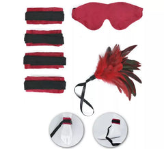 Kit de sutiãs sexy: máscara, penas e sutiãs