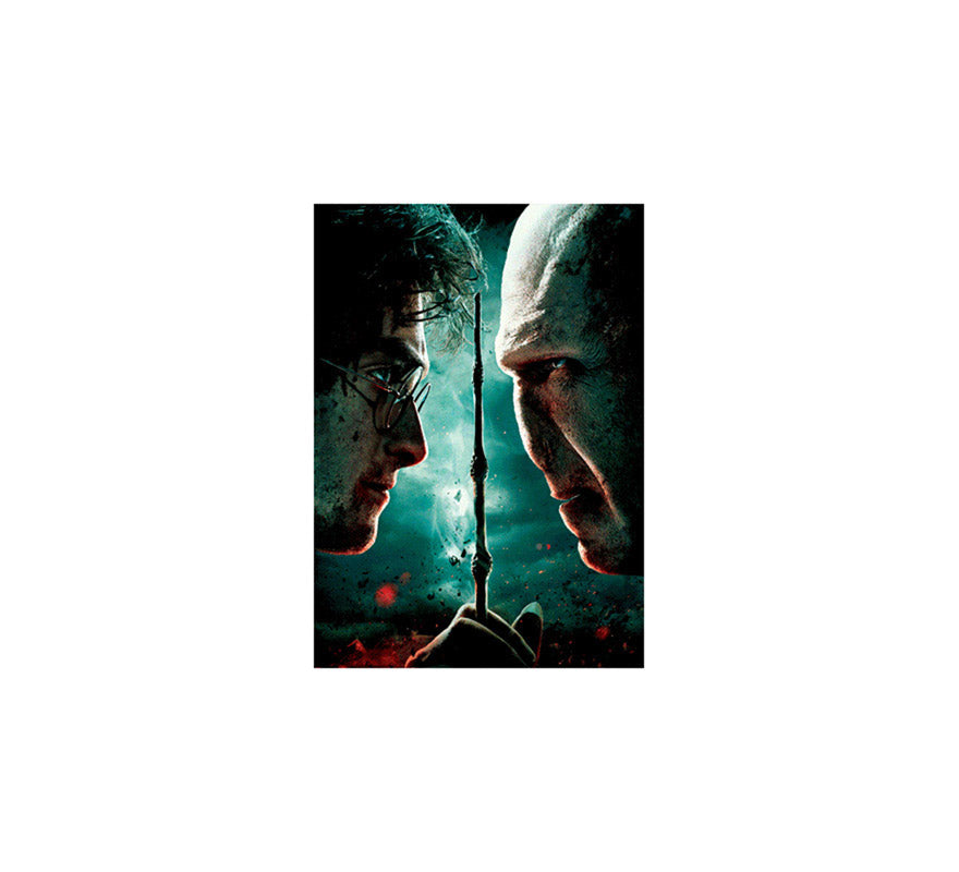 Libreta 3D Harry vs Voldemort Harry Potter
