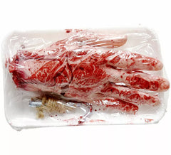 Mão sangrenta e mutilada em uma bandeja