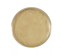 Creme de maquilhagem 25g em várias cores