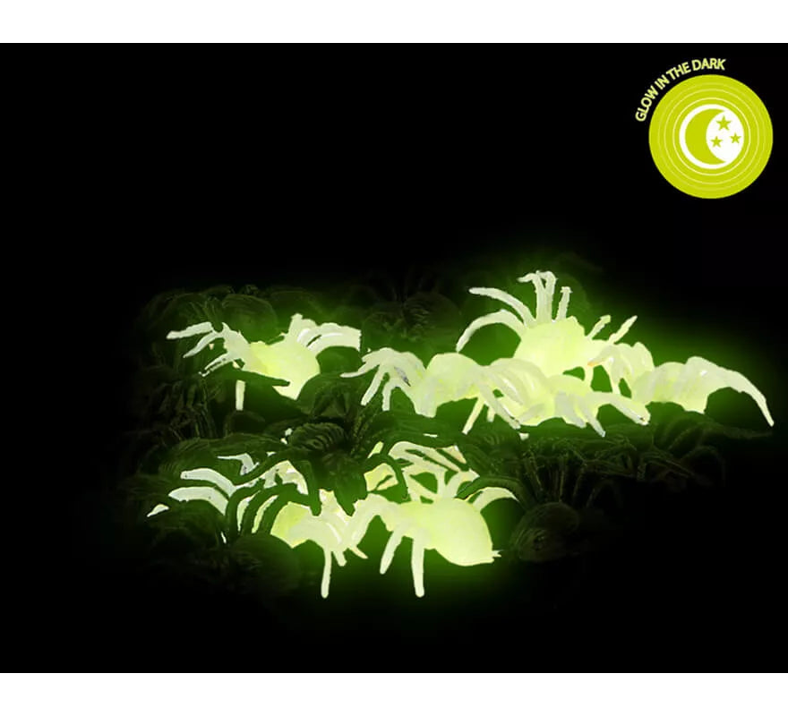 Pack de 20 Arañas Fluorescentes y Negras