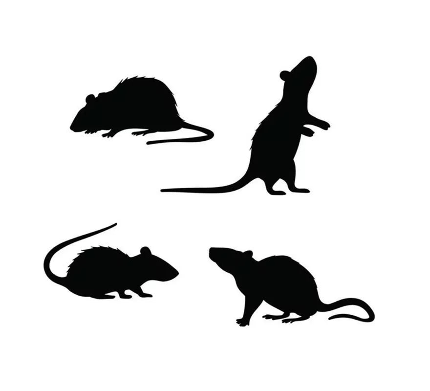 Translation missing: pt-PT.Pack de 4 Siluetas de Ratas negras