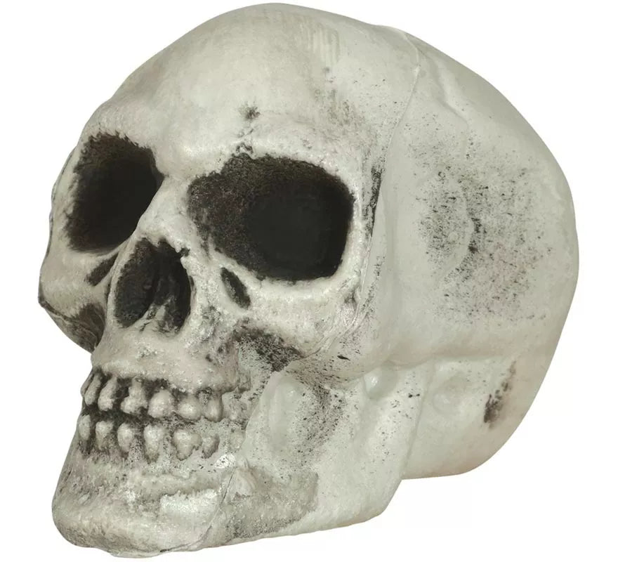 Translation missing: pt-PT.Pack de 6 Calaveras 8 cm