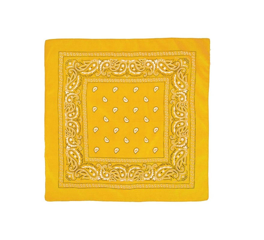 Translation missing: pt-PT.Pañuelo Paisley de 54x54 cm en varios colores