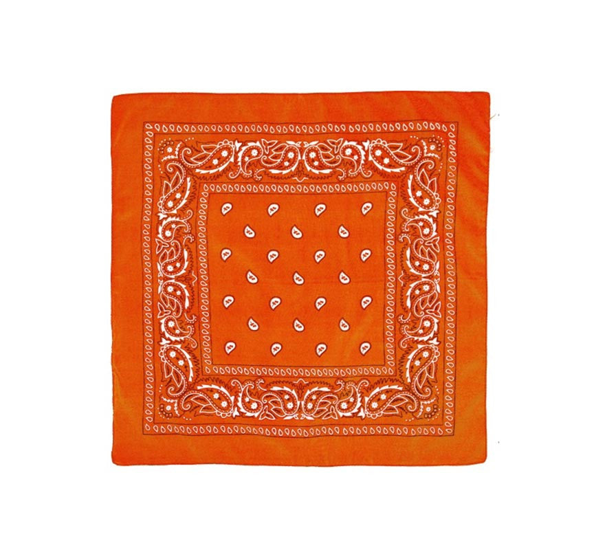 Translation missing: pt-PT.Pañuelo Paisley de 54x54 cm en varios colores