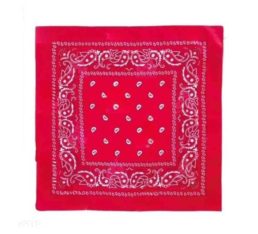 Translation missing: pt-PT.Pañuelo Paisley de 54x54 cm en varios colores