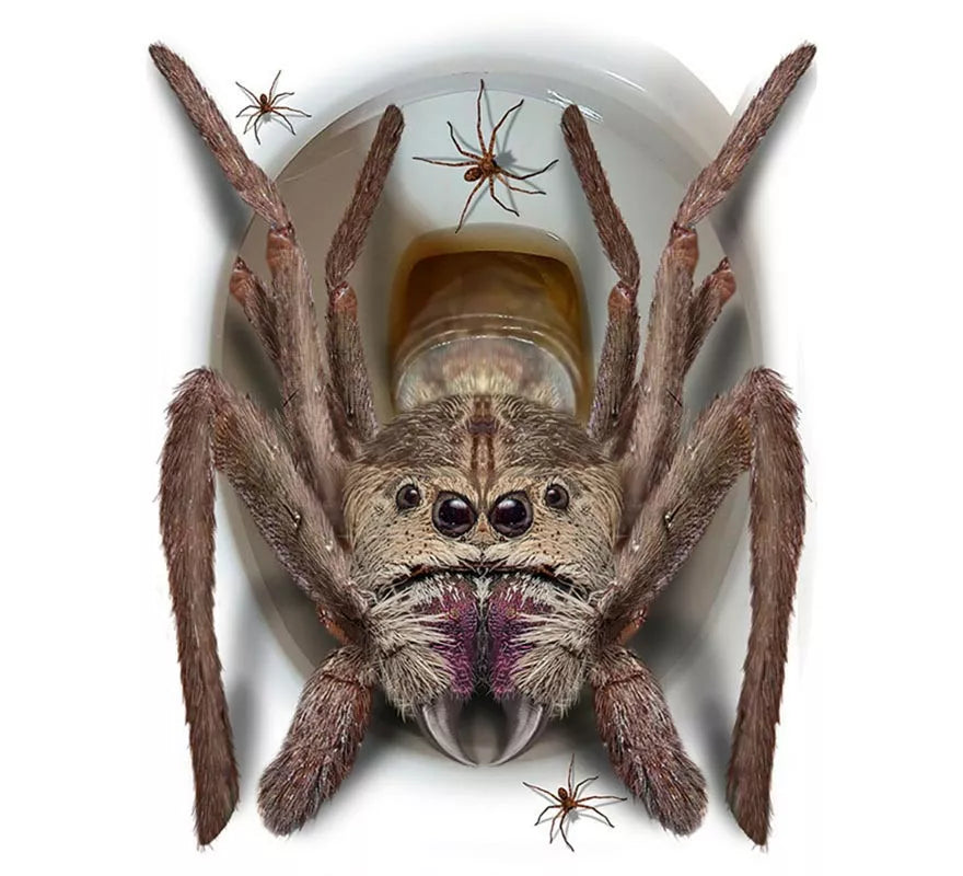 Translation missing: pt-PT.Pegatina Araña Gigante para tapa de inodoro de 30x40 cm