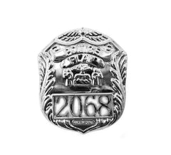 Distintivo de polícia de plástico prateado 2068