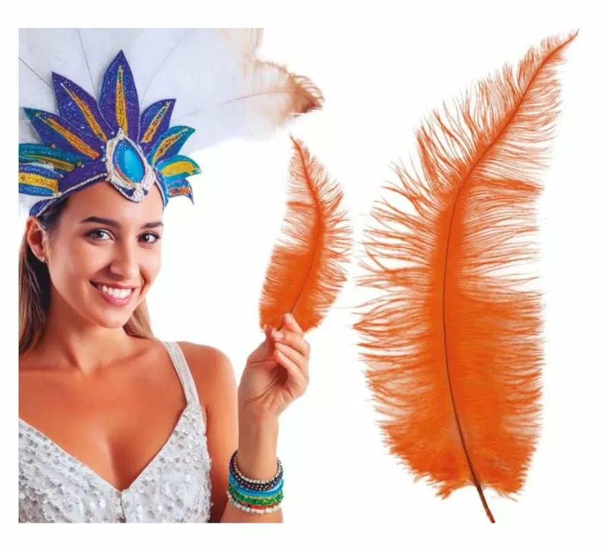 Translation missing: pt-PT.Pluma de Avestruz Grande en varios colores 40 cm