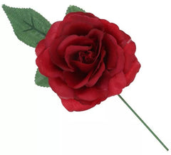 Rosa Sevillana ou Chulapa com haste de 13 cm em várias cores
