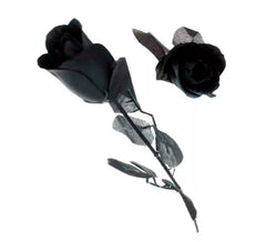 Rosa negra com folhas pretas