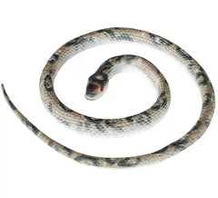Cobra de látex de 70 cm