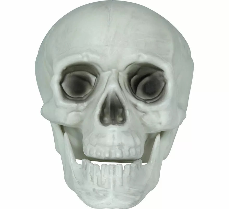 Translation missing: pt-PT.Set 3 Calaveras de 15 cm