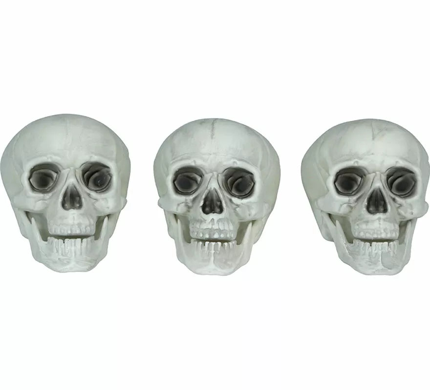 Translation missing: pt-PT.Set 3 Calaveras de 15 cm