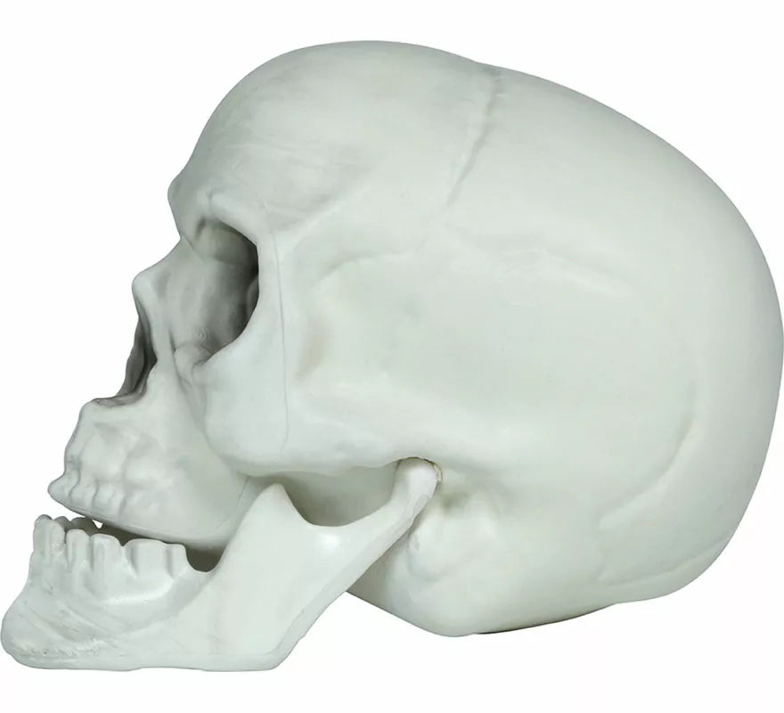 Translation missing: pt-PT.Set 3 Calaveras de 15 cm